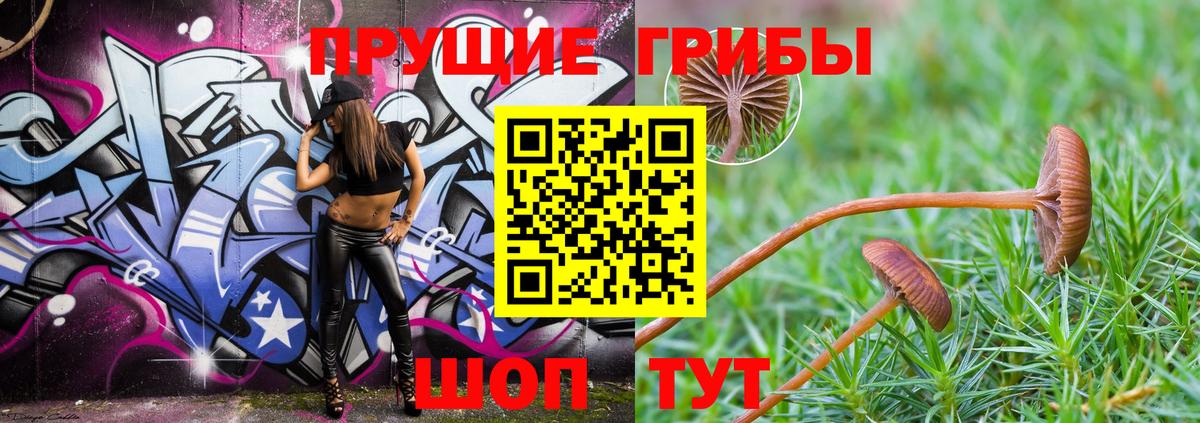 Псилоцибиновые грибы ЛСД Кушва